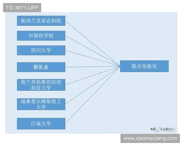 皇家网站登录的未来发展趋势及技术创新研究 皇家网站登录的未来发展趋势及技术创新研究