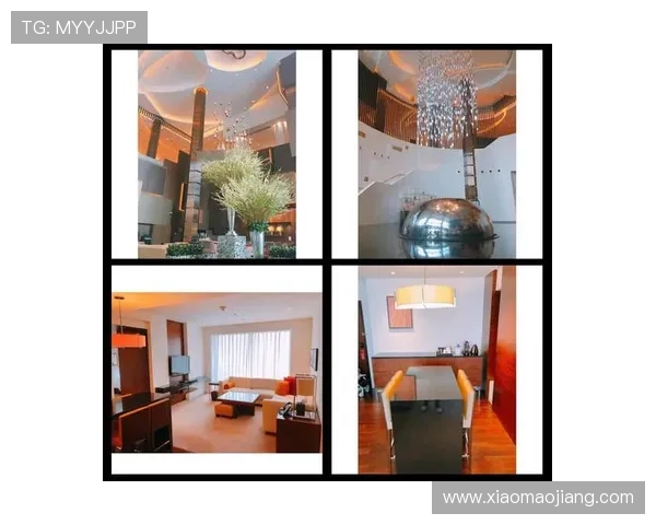 新濠天地DFS官网新手注册流程详细步骤及注意事项