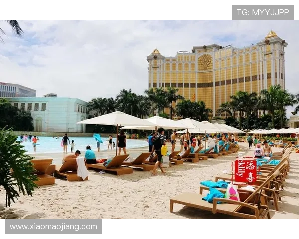 深入了解澳门伦敦人剧场的演出阵容与剧目特色打造难忘的文化之旅