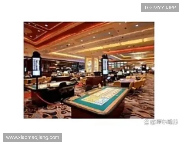 澳门一共有几个赌厅，探讨赌厅数量对澳门旅游业的影响