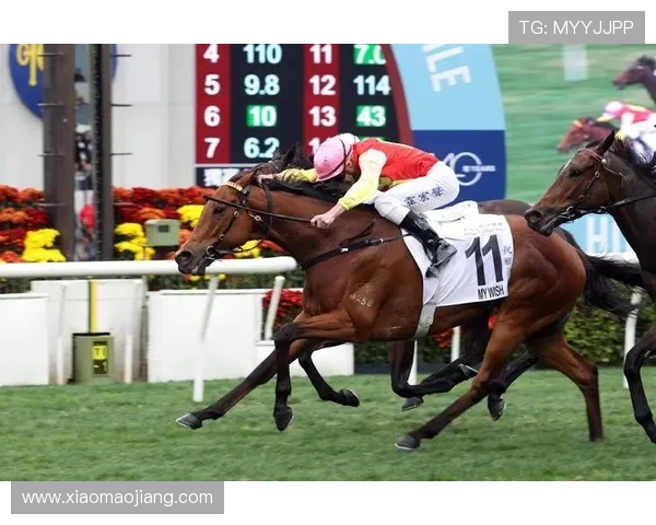 hkjc网娱乐:香港赛马会在线娱乐平台的操作流程与常见问题解决方案 hkjc网娱乐:香港赛马会在线娱乐平台的操作流程与常见问题解决方案