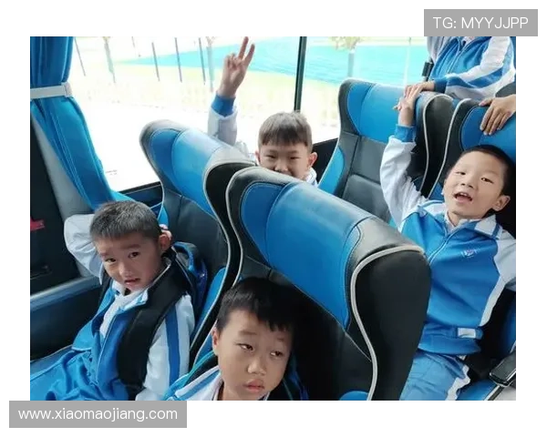 探索回力海立方中的多样化游戏模式与丰富的互动玩法