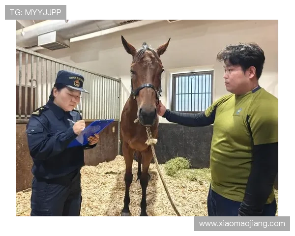 赛马会投注站app官网官方平台全面介绍,提供安全稳定的投注环境和最新优惠活动信息 赛马会投注站app官网官方平台全面介绍,提供安全稳定的投注环境和最新优惠活动信息