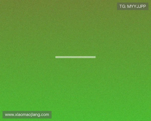 澳门新葡京赌场网站打造世界杯主题专区，满足用户多样化体育资讯需求